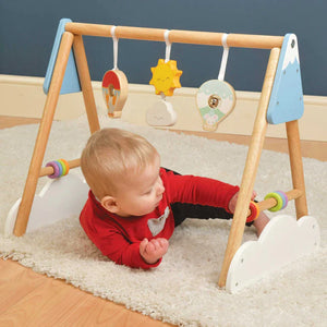LTV- Baby Gym