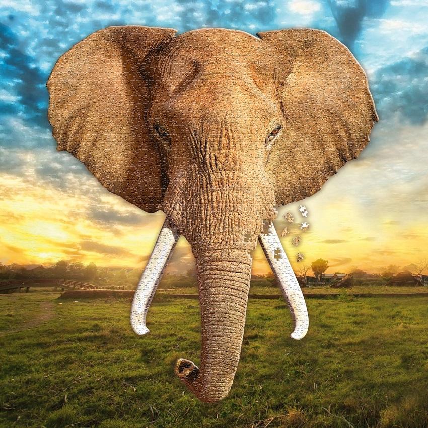 I am Puzzler Poster Size Elephant (700 st.)