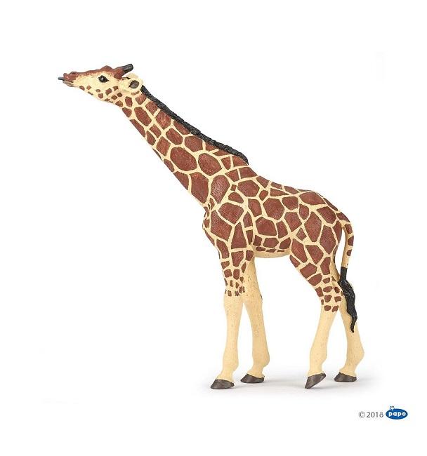 Papo Giraf
