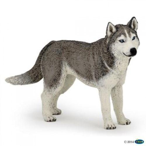 Papo Siberische Husky