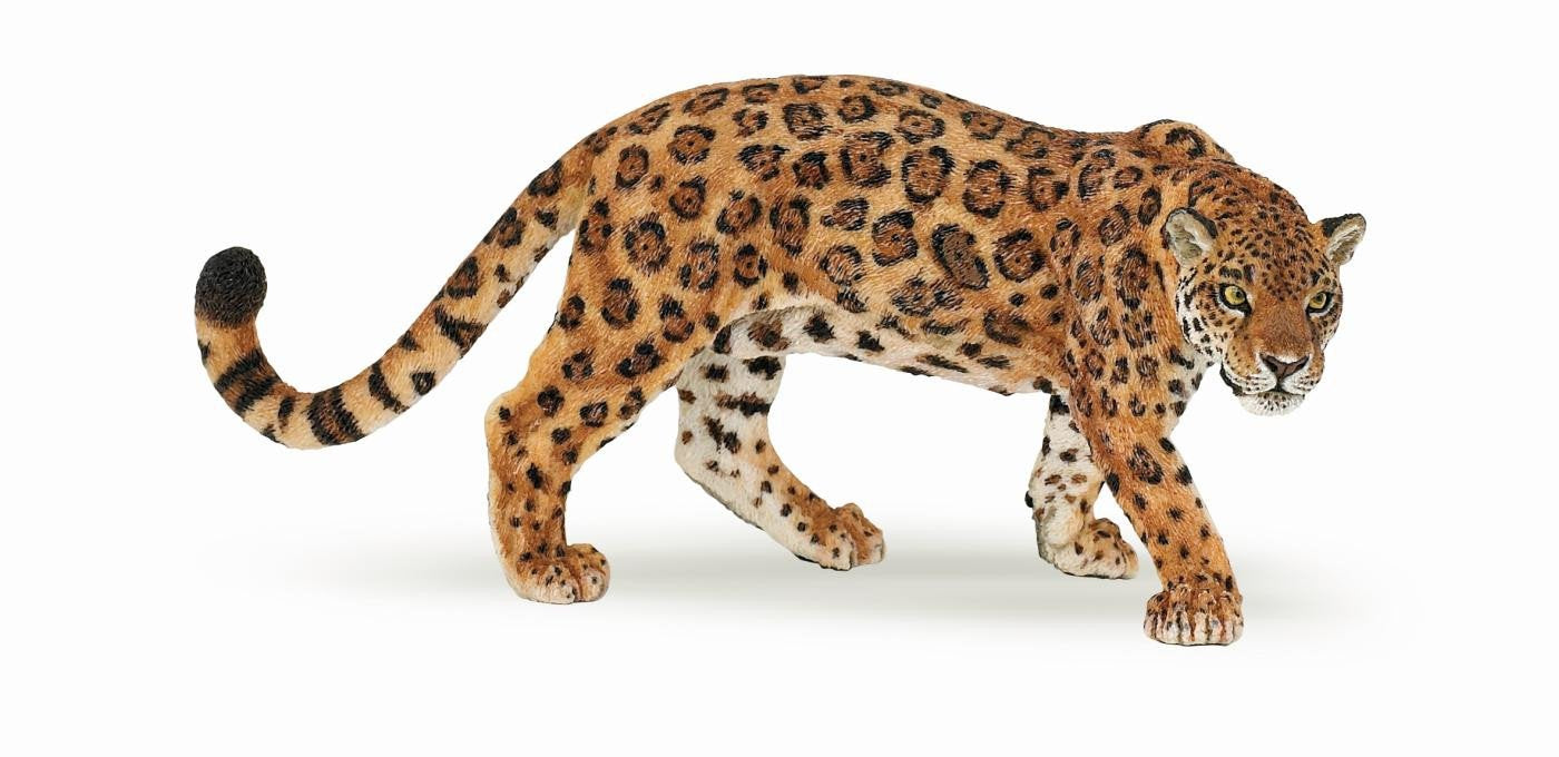 Papo De Jaguar