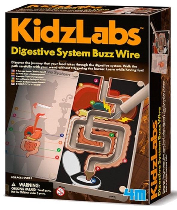 4M KidzLabs Digestive System Buzz Wire