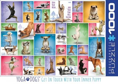Yoga Dogs (1000st)