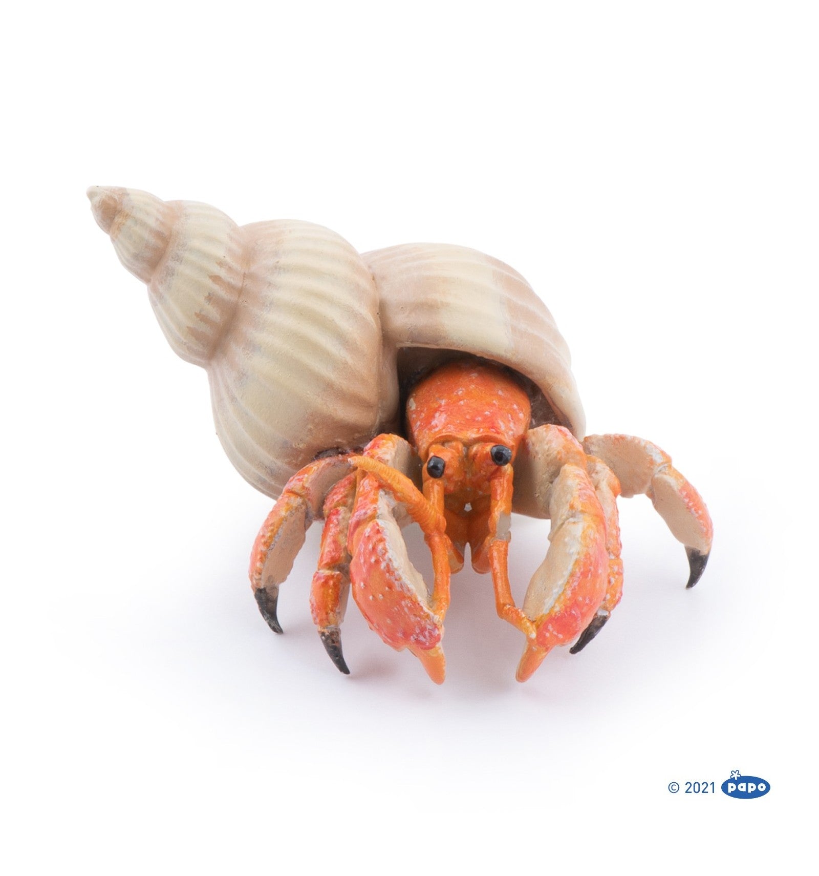 Hermit Crab (Hermiet Kreeft)