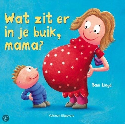 Boek Wat zit er in je buik. Mama?