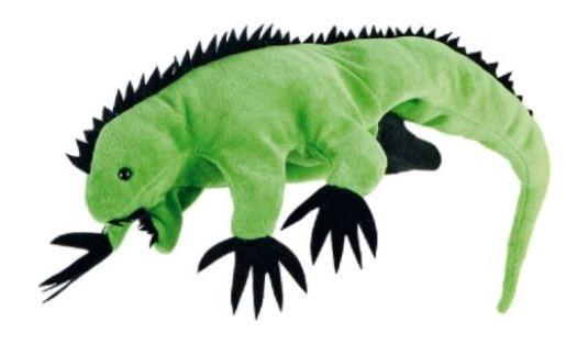 Beleduc handpop Leguaan