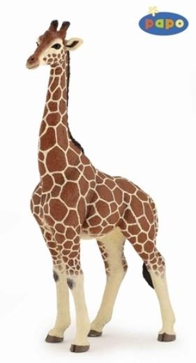 Papo Giraffe hengst