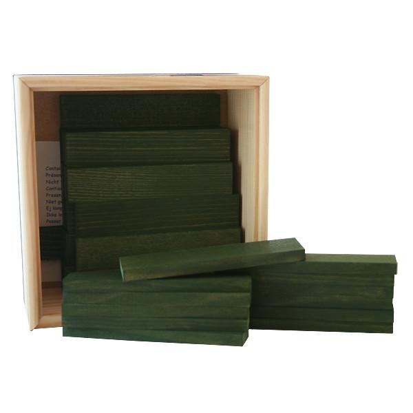 Kapla Kistje met 40 plankjes (groen)