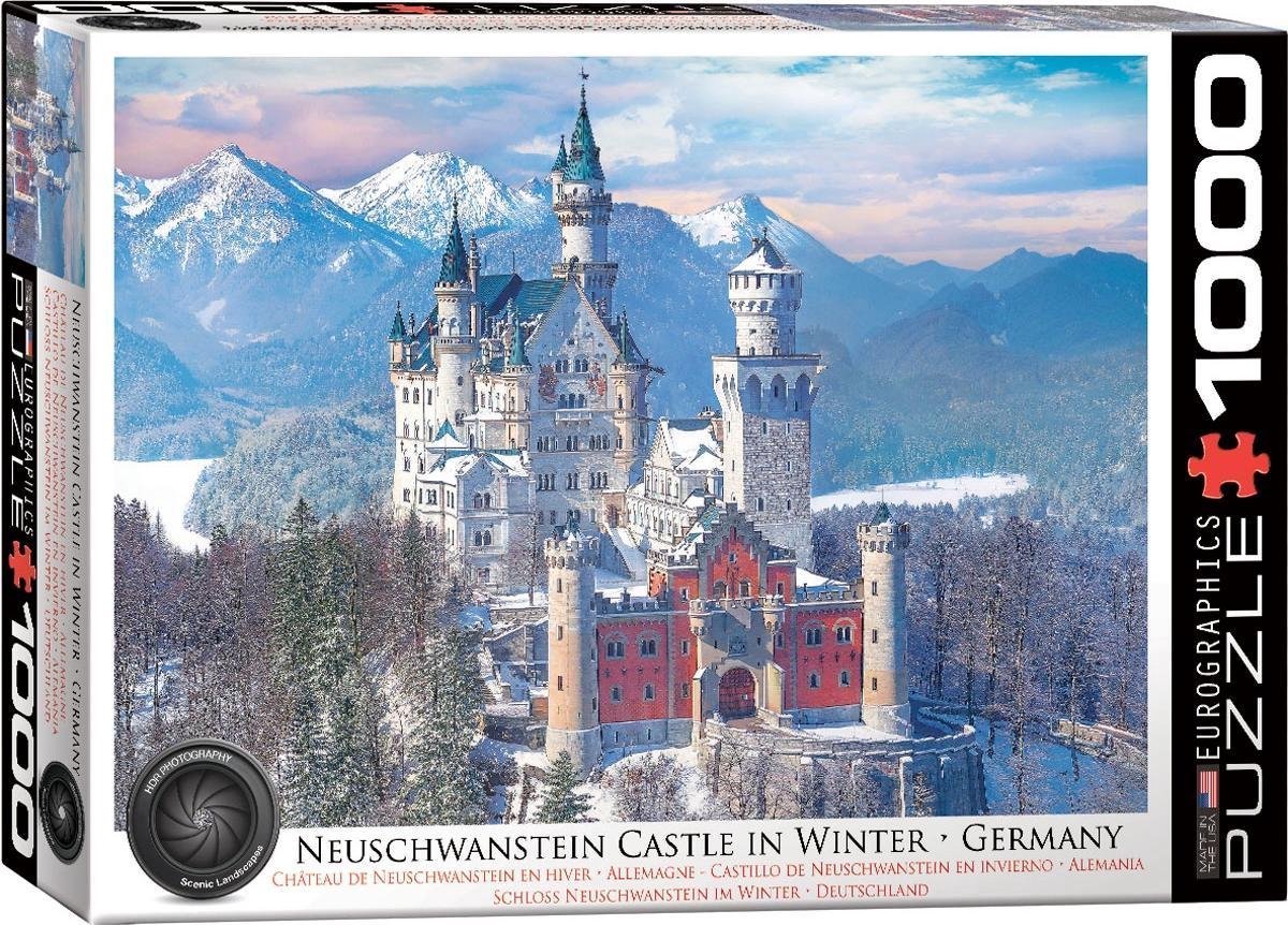 Neuschwanstein Castle in Winter (1000)