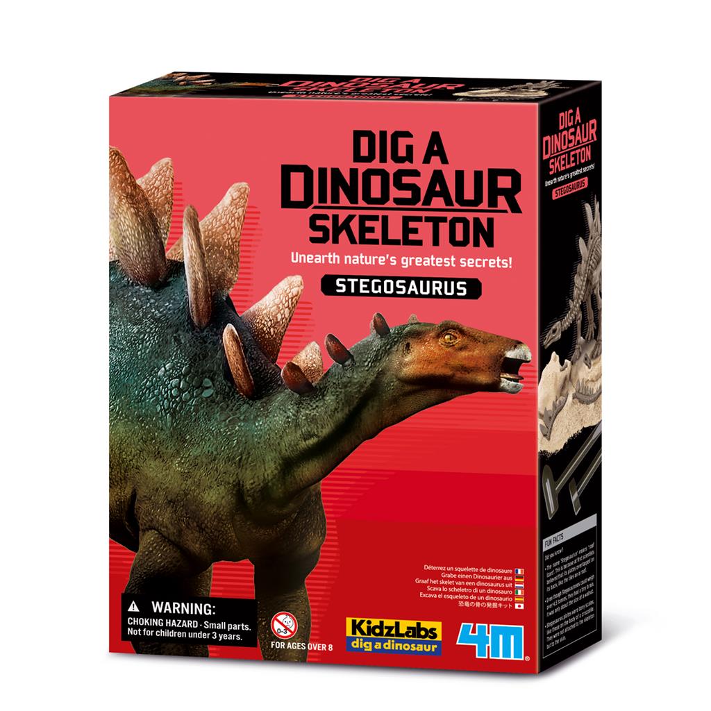 4M Kidzlabs: Graaf-je-Dinosauruus-op (Stegosaurus)