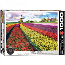 Puzzel Tulip Fields (1000 st)